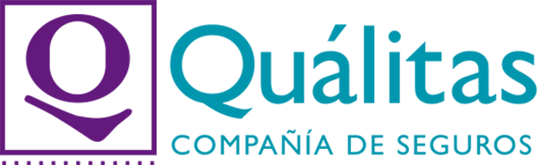 Logo Partner